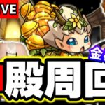 【🔴モンストマルチLIVE】ベル使用の金確定神殿マルチ!!