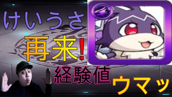 【モンスト】けいうさイベント再来！俺なりの編成の紹介「経験値ウマ過ぎて最＆高！！！」