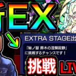 【モンスト】新EXステージ　裏禁忌の最強キャラを求めて！！　２０：３０～LIVE🔴